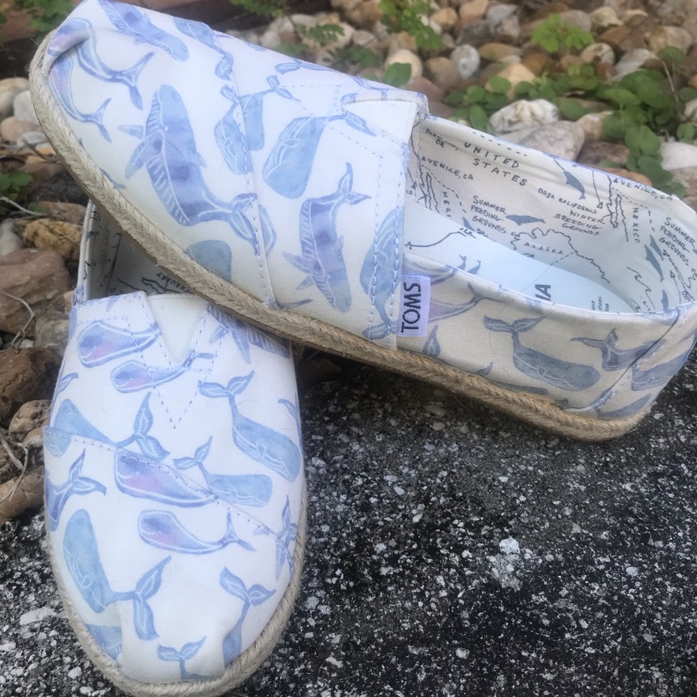 TOMS Whale Canvas Shoes NWOT Size 5
